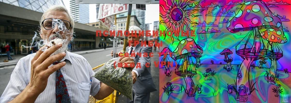 бутират Богданович