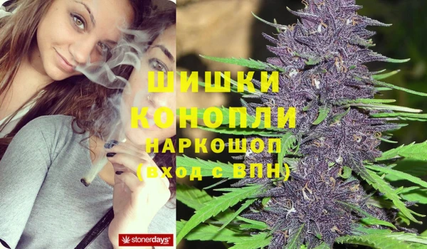 бутират Богданович