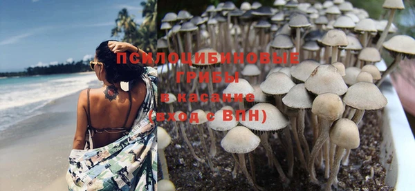 бутират Богданович