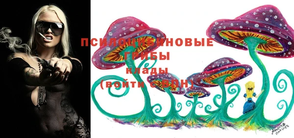 бутират Богданович
